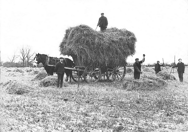 Village Archive Group - Farming 1907